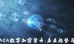全面解析ACA数字加密货币：未来趋势与投资机会