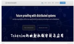 Tokenim的映射机制分析与应用