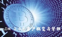 TokenIM 2.0总资产概览与管理策略