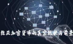 拉脱维亚加密货币的真实现状与前景分析