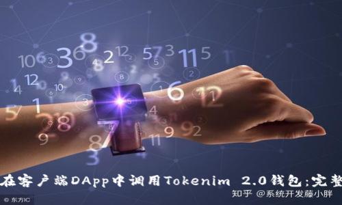 如何在客户端DApp中调用Tokenim 2.0钱包：完整指南