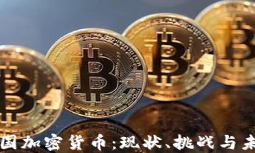 
挑战美国加密货币：现状、挑战与未来展望