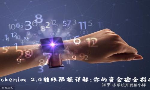 Tokenim 2.0转账限额详解：你的资金安全指南