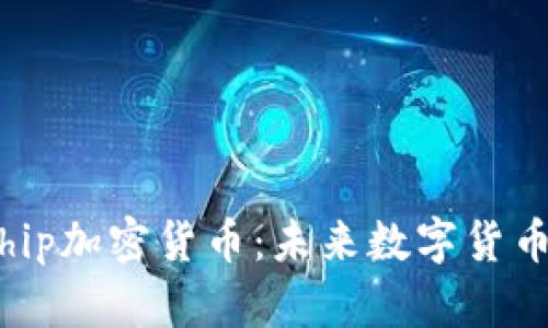 全面解析Plachip加密货币：未来数字货币的潜力与挑战