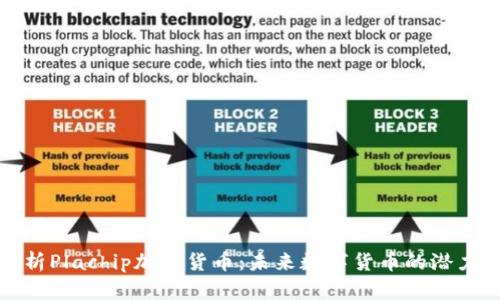 全面解析Plachip加密货币：未来数字货币的潜力与挑战