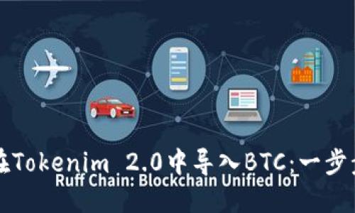 如何在Tokenim 2.0中导入BTC：一步步指南