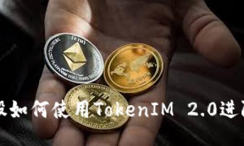 比特股如何使用TokenIM 2.0进阶指南