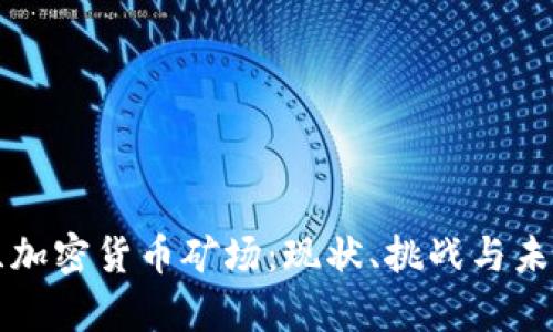乌克兰加密货币矿场：现状、挑战与未来发展