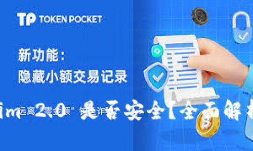 下载 Tokenim 2.0 是否安全？全面解析与用户指南