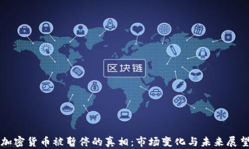 
加密货币被暂停的真相：市场变化与未来展望