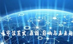 加密货币市值蒸发：原因、影响与未来趋势分析