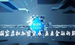 探秘国家虚拟加密货币：未来金融的新篇章