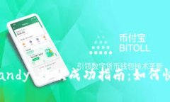 Tokenim 2.0 Candy 收款成功指南：如何快速安全完成