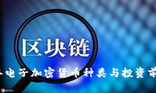 2023年电子加密货币种类与投资前景解析
