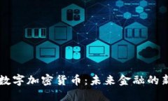 2023年OIN数字加密货币：未来金融的新机遇与挑战