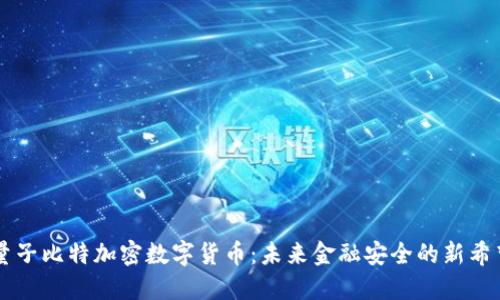 量子比特加密数字货币：未来金融安全的新希望
