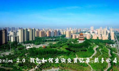 Tokenim 2.0 钱包如何查询交易记录：新手必看指南