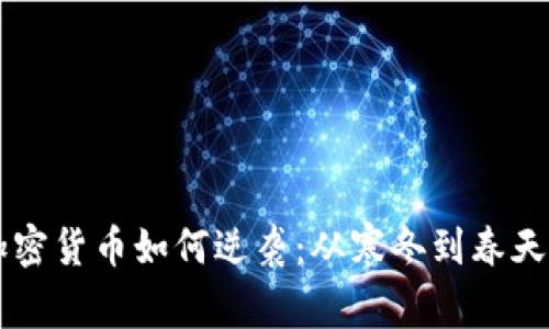 千字加密货币如何逆袭：从寒冬到春天的秘笈