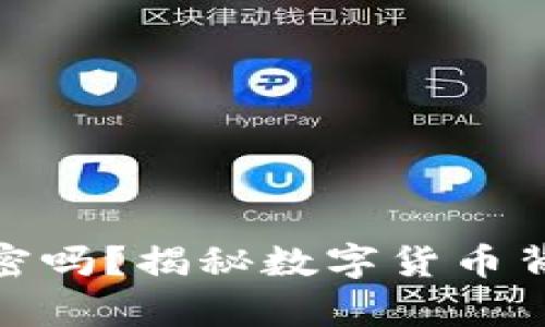 加密货币真的能加密吗？揭秘数字货币背后的安全性与风险