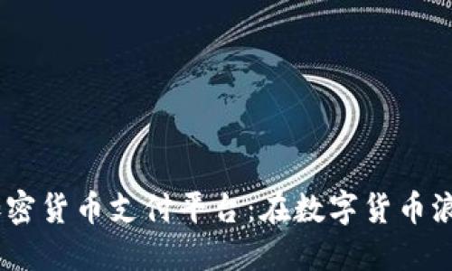 2023年韩国加密货币支付平台：在数字货币浪潮中如何崛起