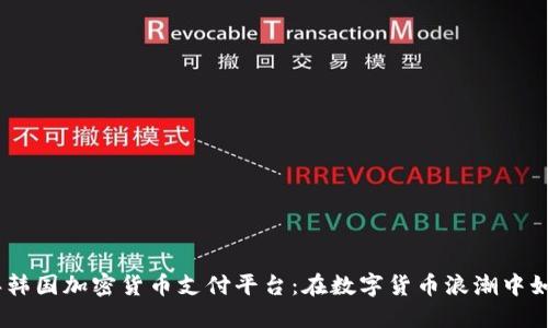 2023年韩国加密货币支付平台：在数字货币浪潮中如何崛起