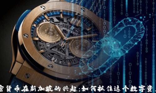 
Nexo加密货币在新加坡的兴起：如何抓住这个数字资产新机会