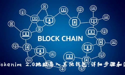 如何将Tokenim 2.0地址导入其他钱包:详细步骤和注意事项