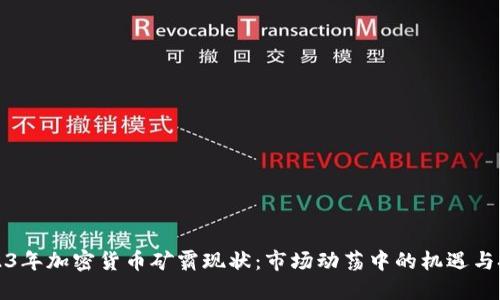 2023年加密货币矿霸现状:市场动荡中的机遇与挑战