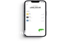 如何顺利获得Tokenim苹果项目贷款的详细指南