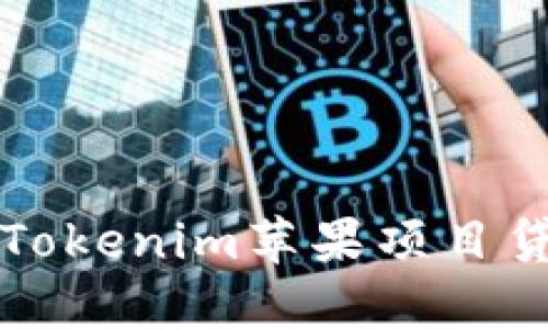 如何顺利获得Tokenim苹果项目贷款的详细指南