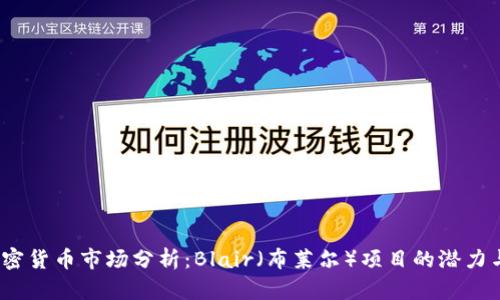 2023年加密货币市场分析：Blair（布莱尔）项目的潜力与投资策略