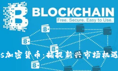 2023年BITs加密货币：捕捉新兴市场机遇的全景分析