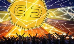 使用 Tokenim 2.0 或其他一些类似的区块链或加密货