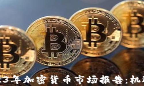 
普华永道2023年加密货币市场报告：机遇与挑战并存