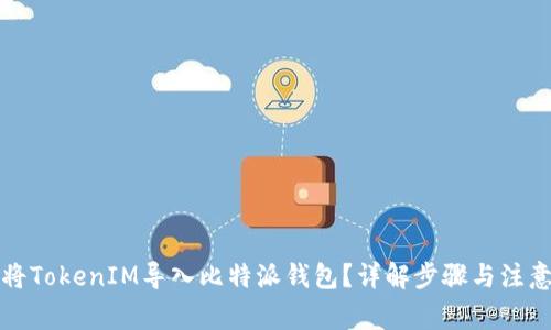 如何将TokenIM导入比特派钱包？详解步骤与注意事项