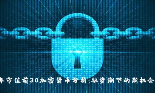 2023年市值前30加密货币分析：融资潮下的新机会与挑战