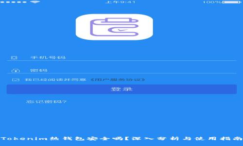 Tokenim热钱包安全吗？深入分析与使用指南