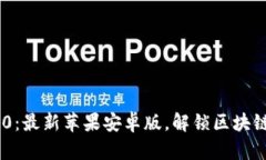 Tokenim 2.0：最新苹果安卓版，解锁区块链应用新趋