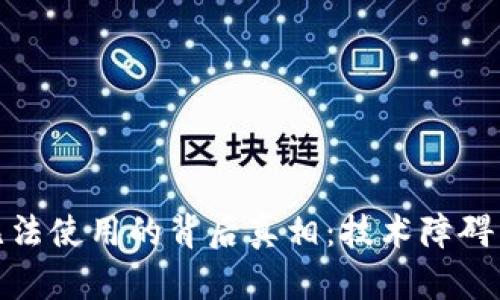 加密货币无法使用的背后真相：技术障碍与市场挑战