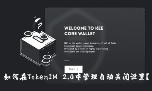 如何在TokenIM 2.0中管理自动关闭设置？