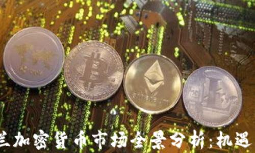 
2023年荷兰加密货币市场全景分析：机遇与挑战并存