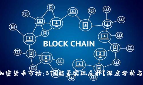 2023年加密货币市场：BTC能否实现反扑？深度分析与未来展望