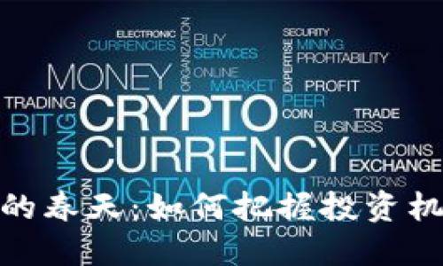 加密货币的春天：如何把握投资机遇与风险