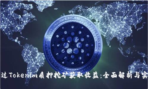如何通过Tokenim质押挖矿获取收益：全面解析与实用指南