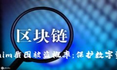 如何降低Tokenim截图被盗概率：保护数字资产的实