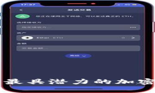 揭秘OPM：当下最具潜力的加密货币投资机会