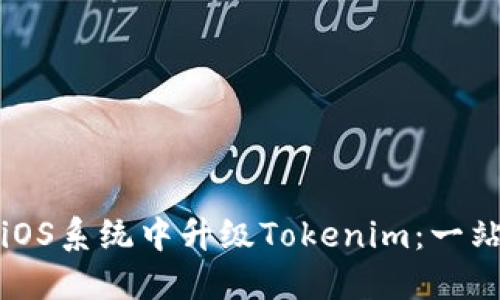 如何在iOS系统中升级Tokenim：一站式指南