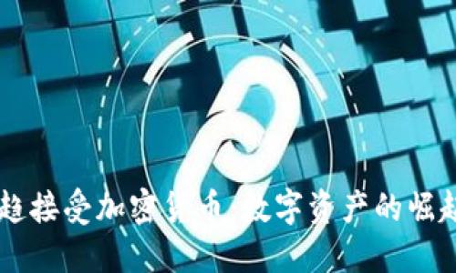 印度网民渐趋接受加密货币：数字资产的崛起和未来展望