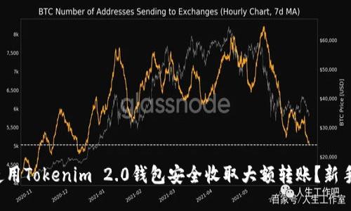 如何使用Tokenim 2.0钱包安全收取大额转账？新手必看！