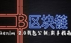 如何查询Tokenim 2.0钱包公钥：新手指南与实用技巧